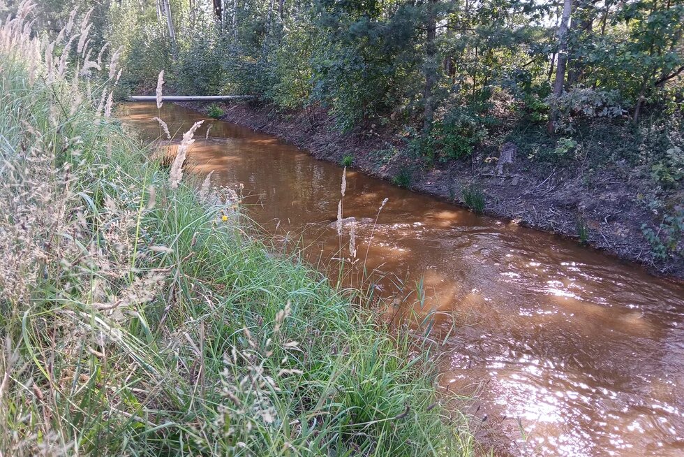 Blick auf den braunen Flutgraben zwischen Mulkwitz und Mühlrose