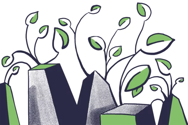 Pflanzen wachsen in die Höhe