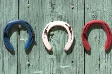 Hufeisen, ein Symbol für die Extremismustheorie