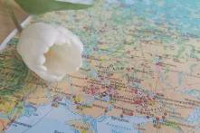 Karte mit Fokus auf Gebiete der Ukraine. Links daneben liegt eine weiße Tulpe.