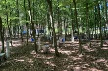 Buchenfläche der hydrologischen Forschungsstation Britz