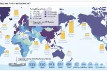 In einer Weltkarte sieht man, wo Fisch in welchem Umfang verzehrt wird.