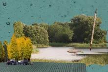 Ein See. Darin schwimmt ein toter Fisch. Rechts im Bild ein Thermometer als Symbol für die steigenden Temperaturen in den Gewässern