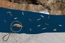 Mi einer Lupe schauen wir genauer auf die Lebewesen im Grundwasser.