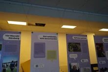 Banner an Stahlseilen