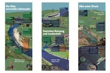 Elbe in Sachsen - Drei neue Ausstellungsbanner auf einen Blick (nebeneinander)
