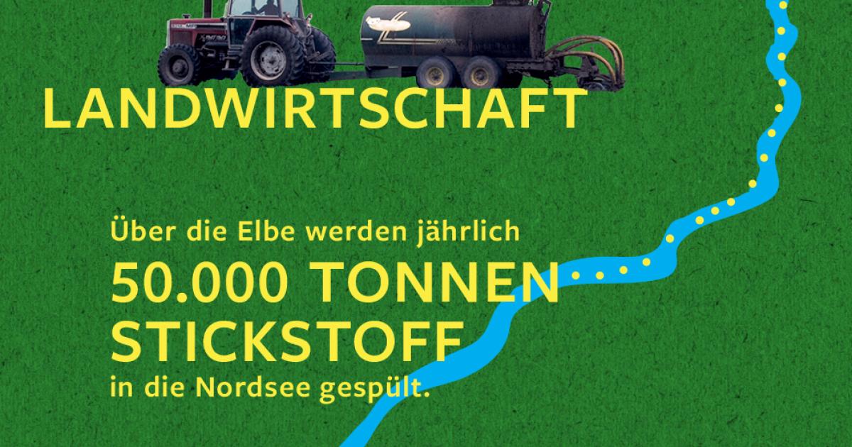 Dnger im Wasser: Das Problem in Zahlen | Weiterdenken |  Heinrich-Bll-Stiftung Sachsen