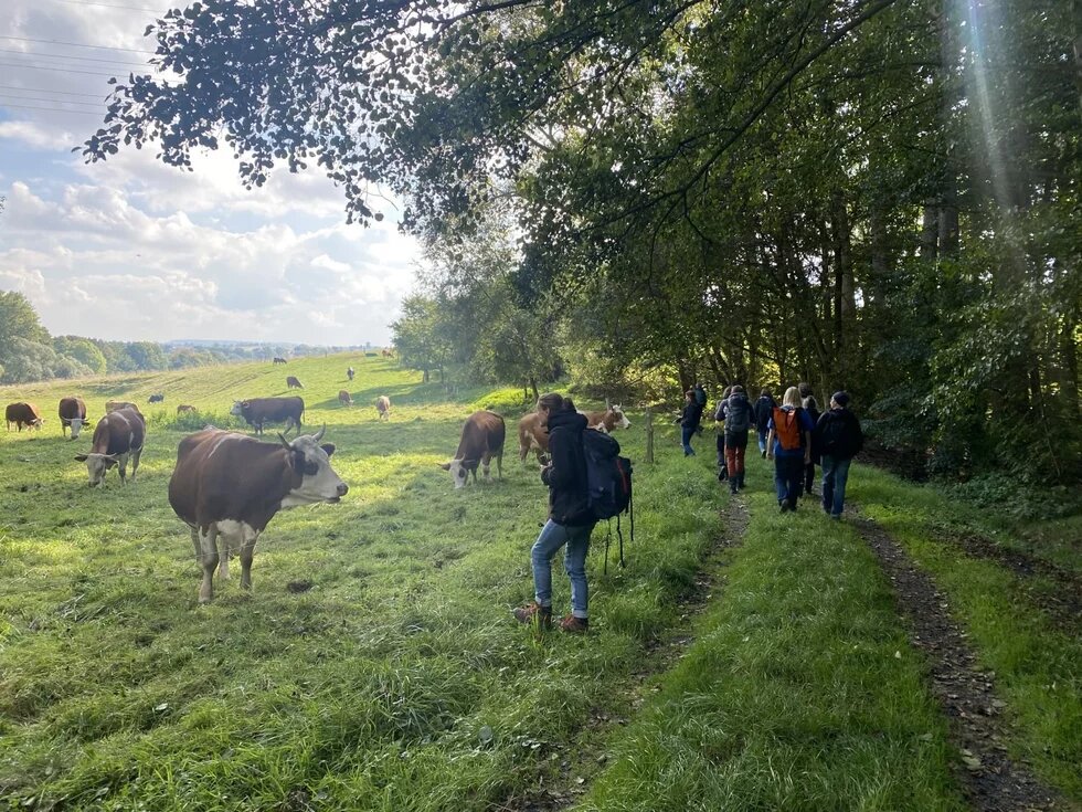 Wanderung entlang der Kuhweide des Hofes Mahlitzsch