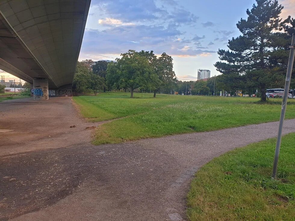 Blick in Richtung Innenstadt Dresden. Links oben eine vierspurige Brücke. Im Vordergrund eine Weggabelung